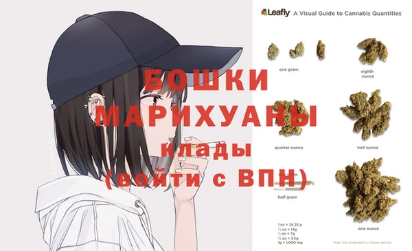индика Белоозёрский