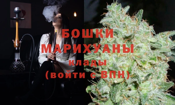 индика Белоозёрский