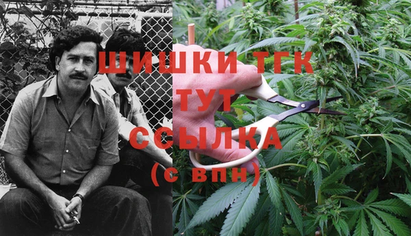 каннабис Белокуриха