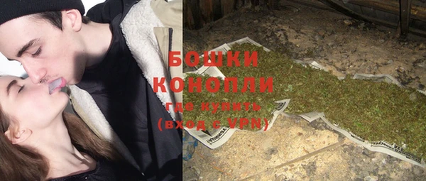 индика Белоозёрский